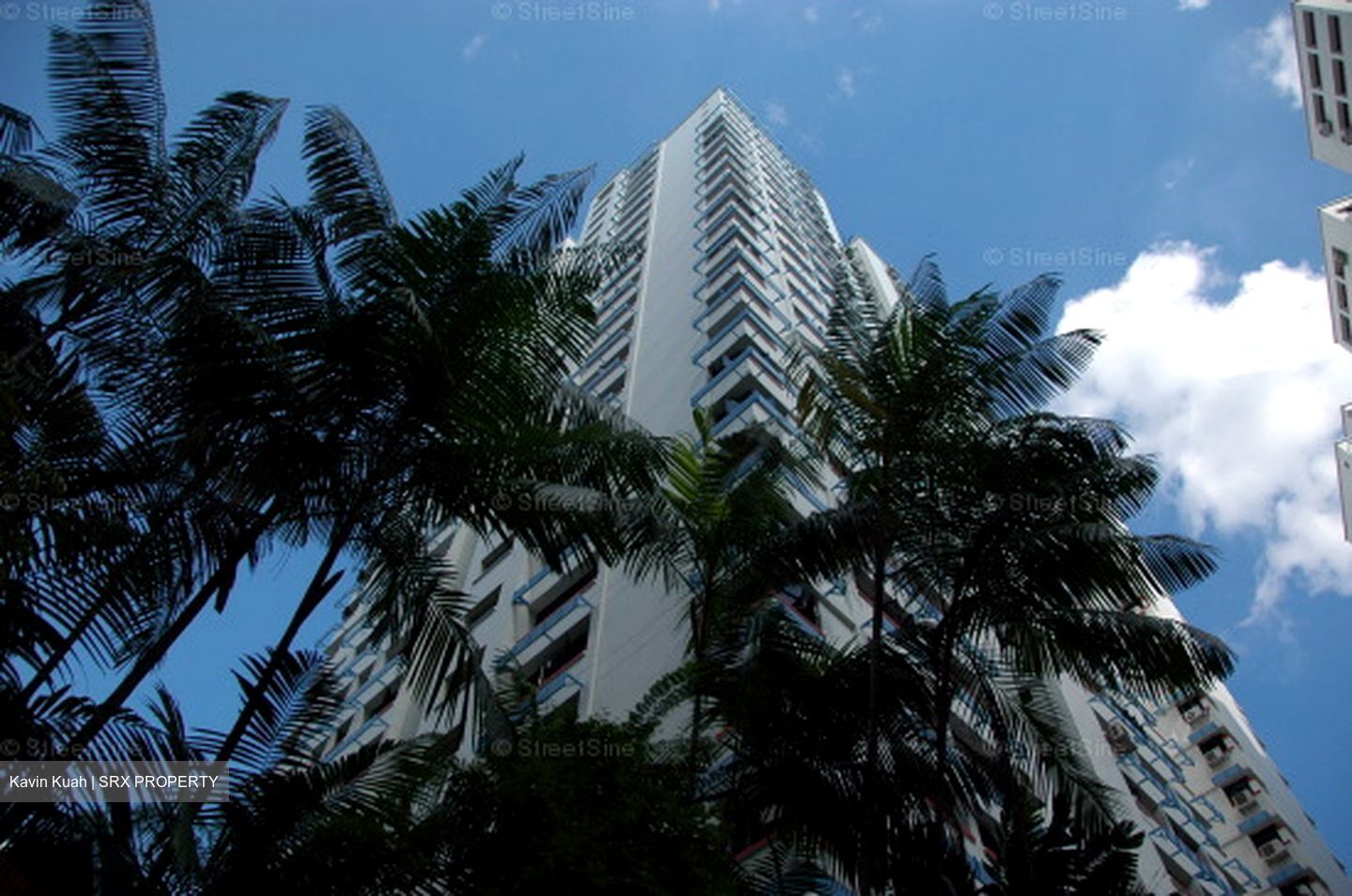 Blk 536 Panshan Grove (Bukit Panjang), HDB 4 Rooms #558829481